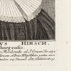 Ansicht 4
