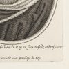 Ansicht 4