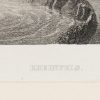 Ansicht 5