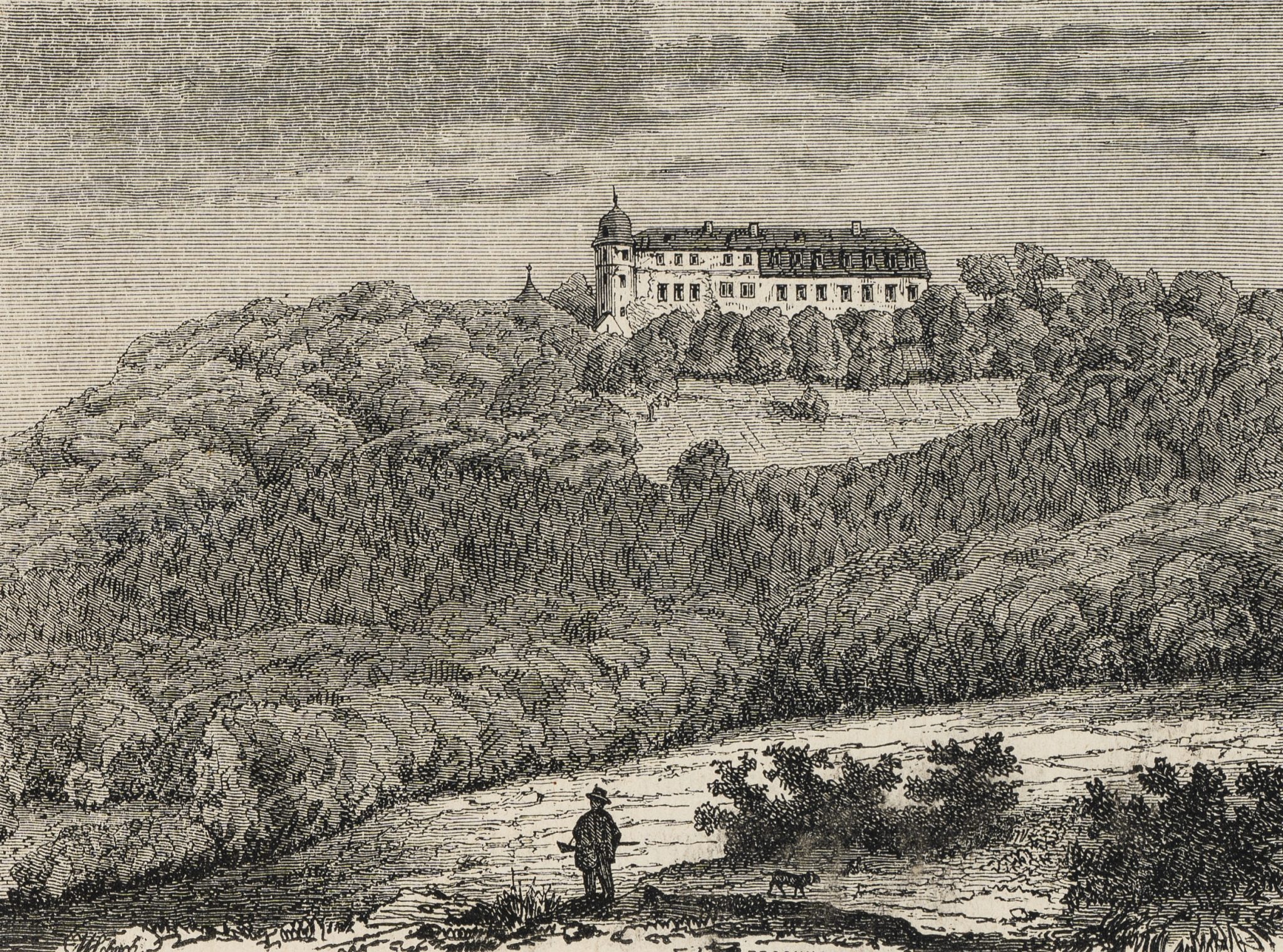 Jäger bei Hinnenburg