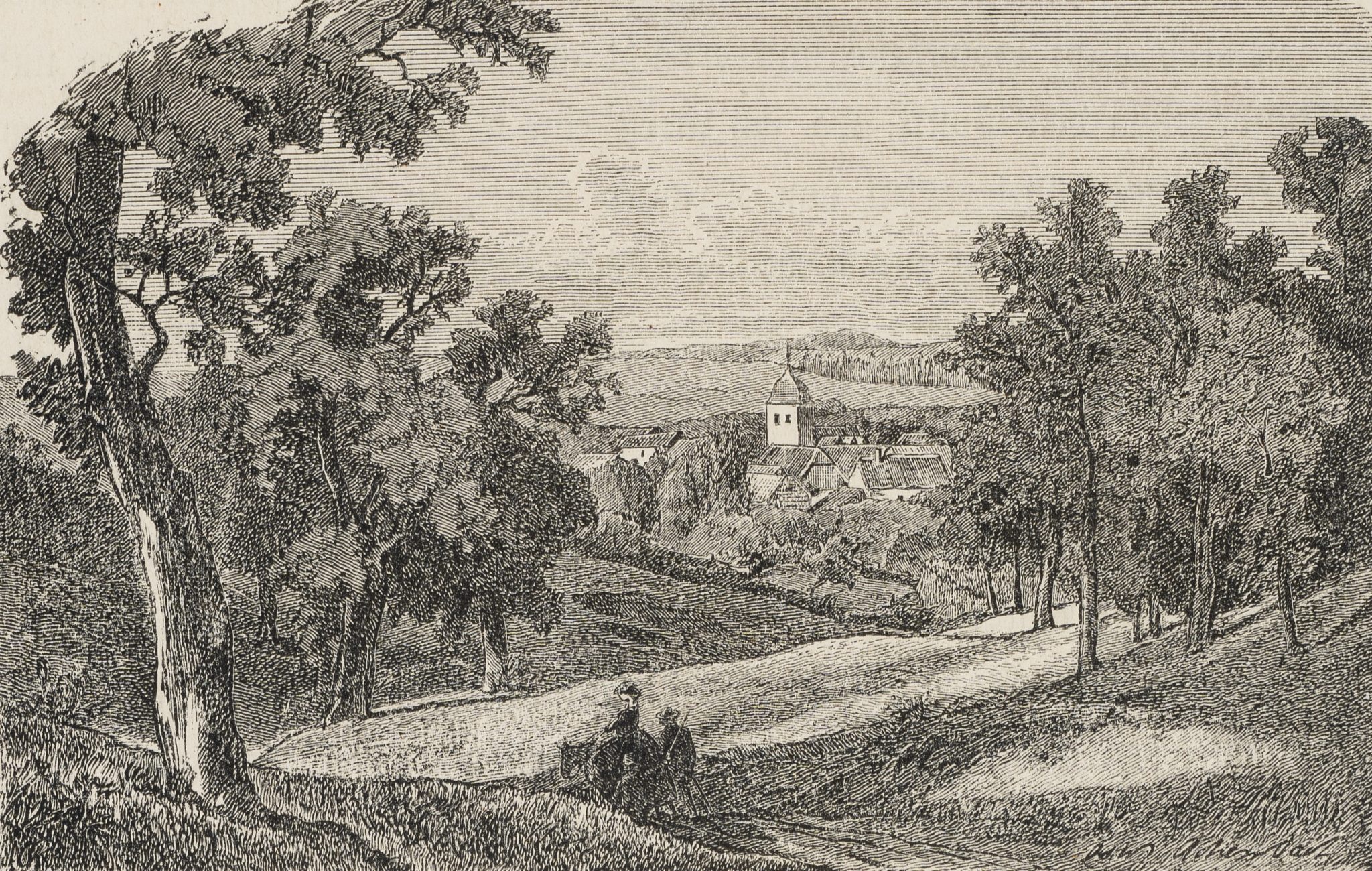Blick auf Bad Driburg