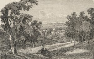 Blick auf Bad Driburg
