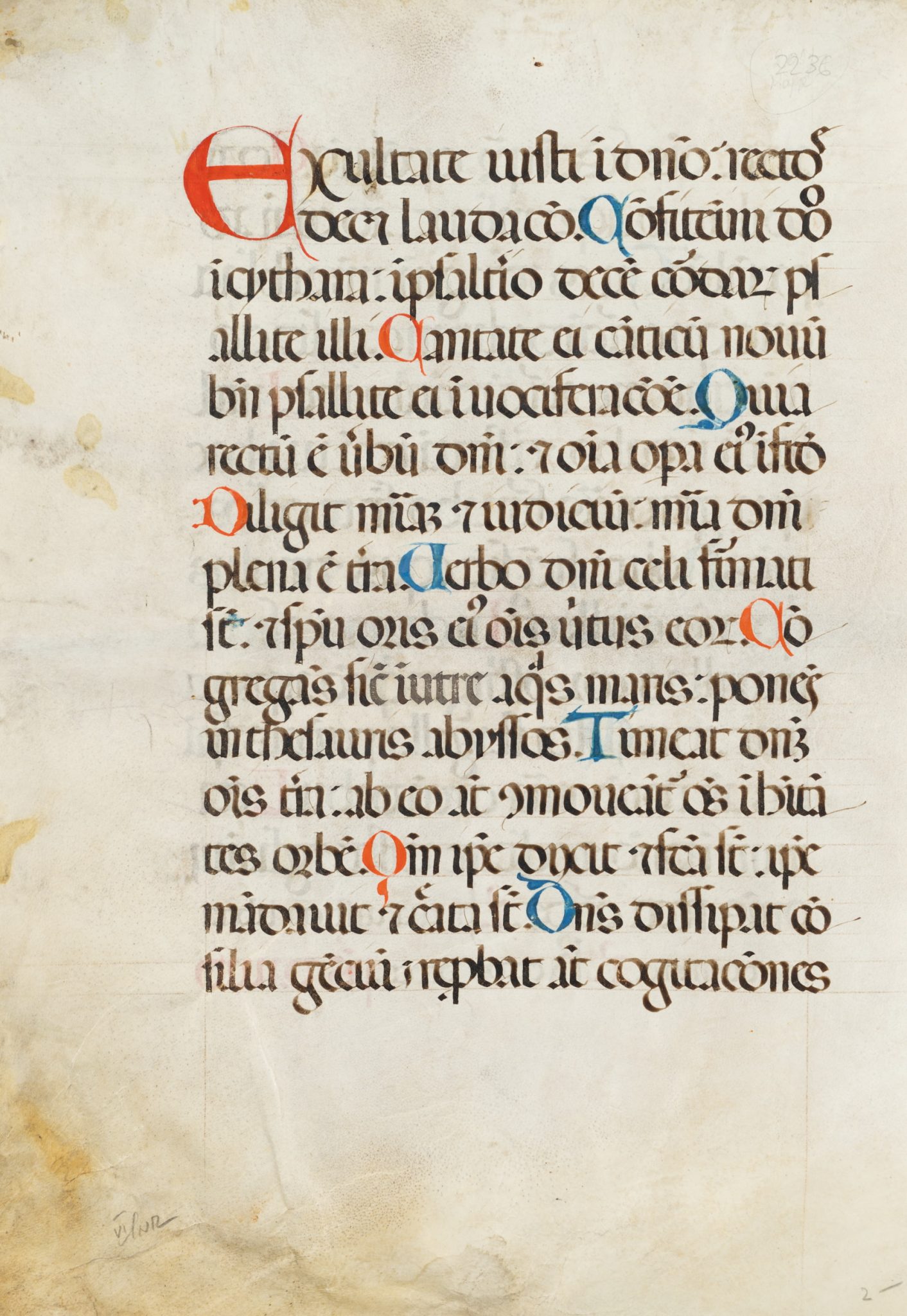Exultate, Handschrift auf Pergament