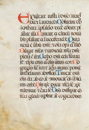 Exultate, Handschrift auf Pergament