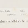 Ansicht 5