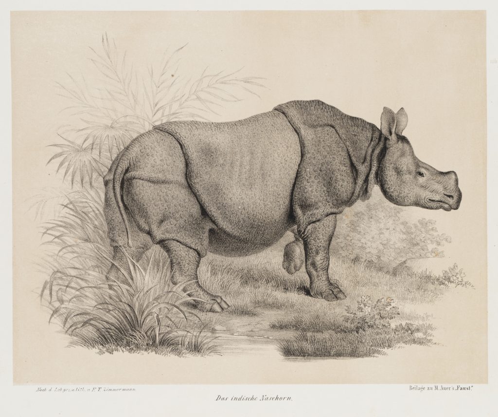 Werk von Theodor Franz Zimmermann