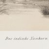 Ansicht 5