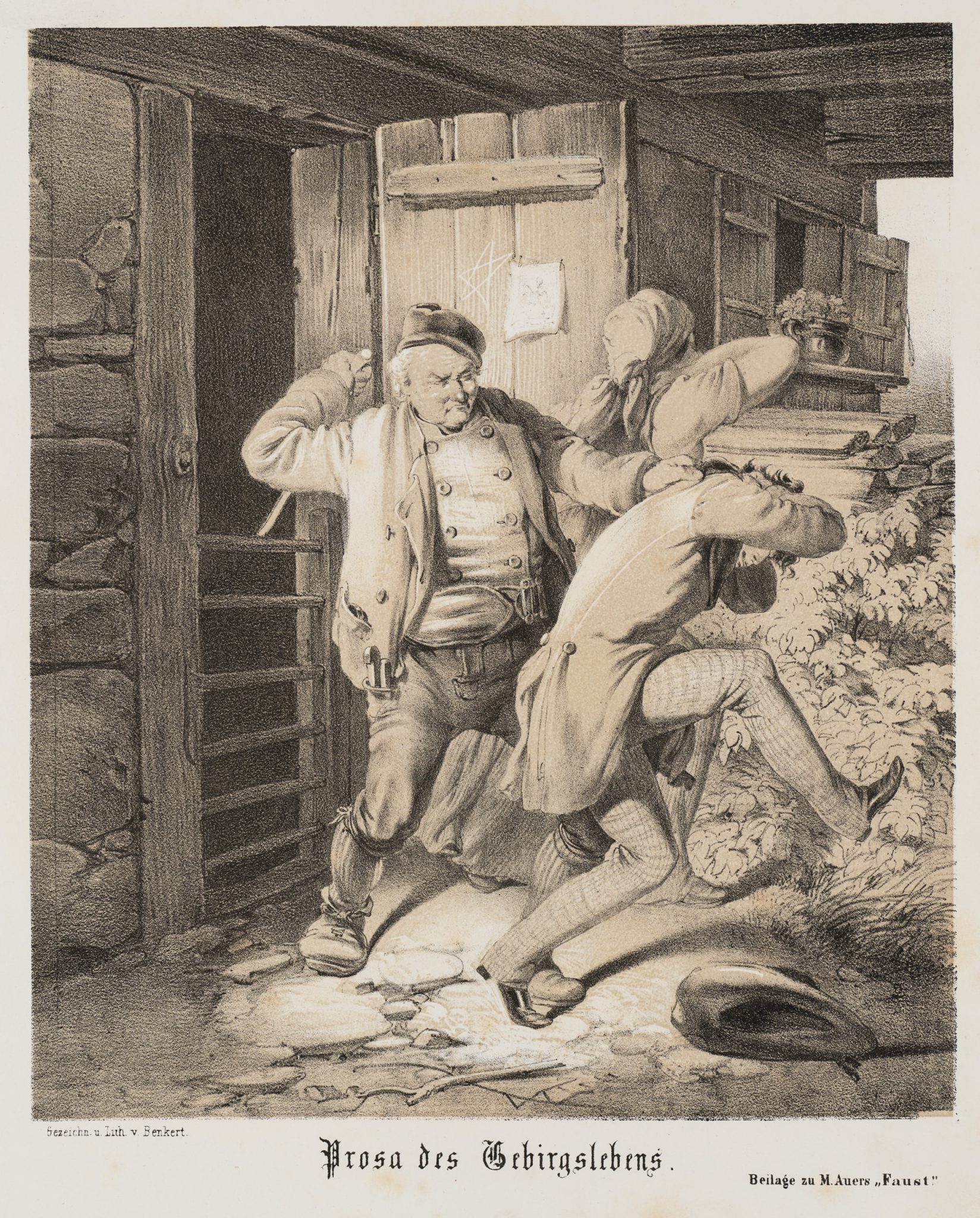 Prosa des Gebirgslebens