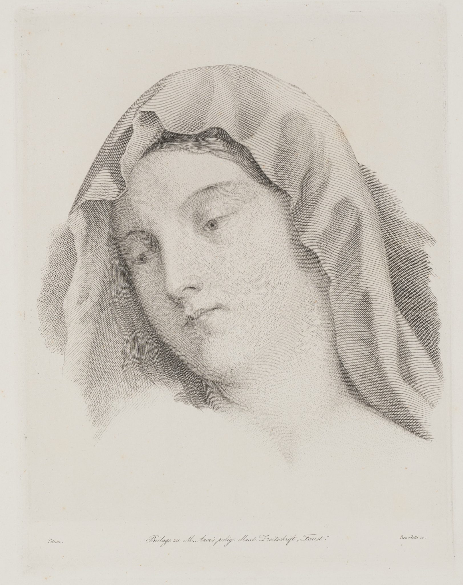 Kopfstück der Maria. Madonna