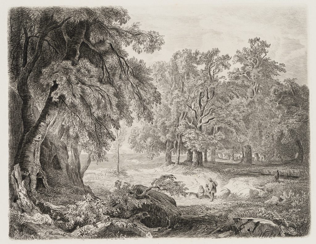 Werk von Carl Maria Nicolaus Hummel