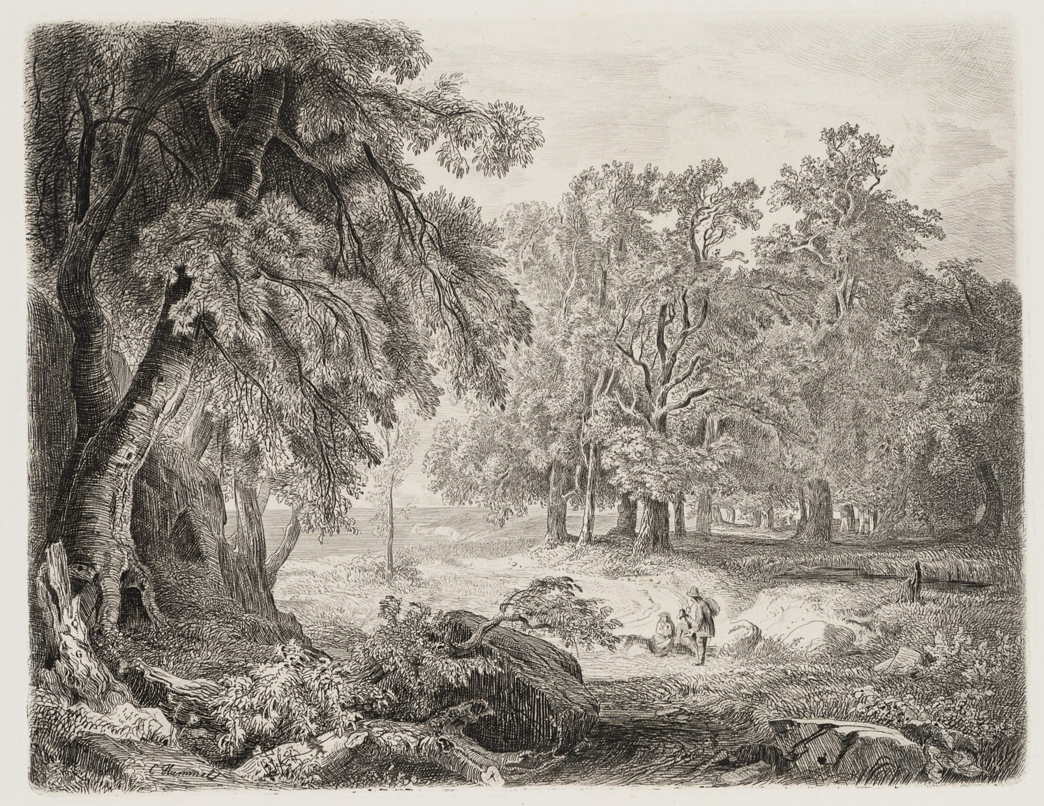 Waldpartie