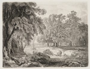 Waldpartie