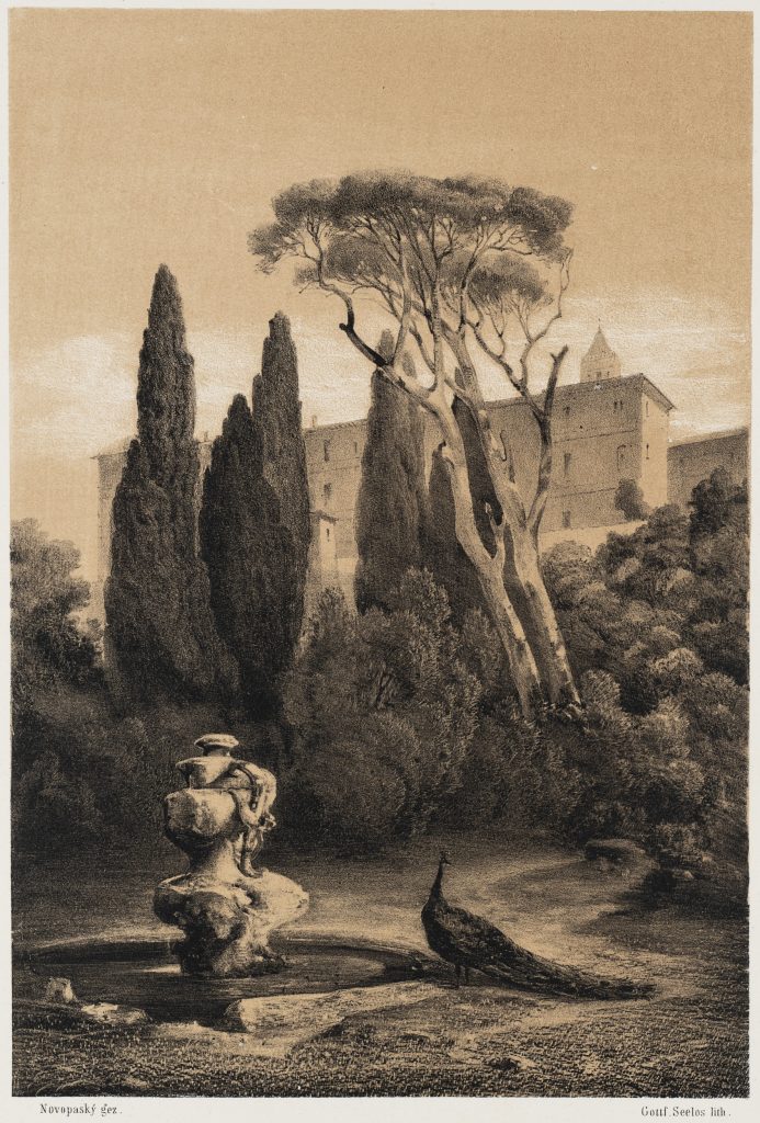 Werk von Johann Novopacky