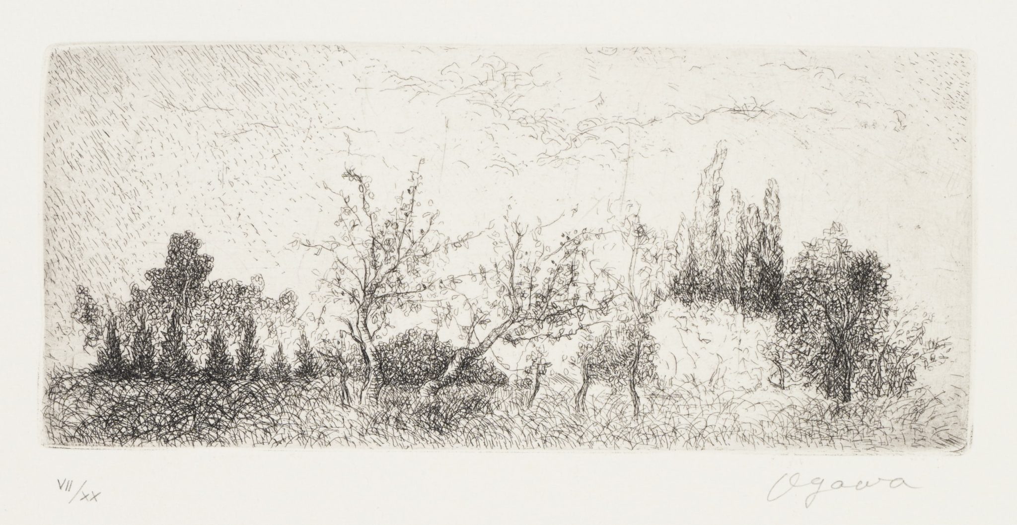 Vegetationsreiche Landschaft mit Bäumen und Büschen