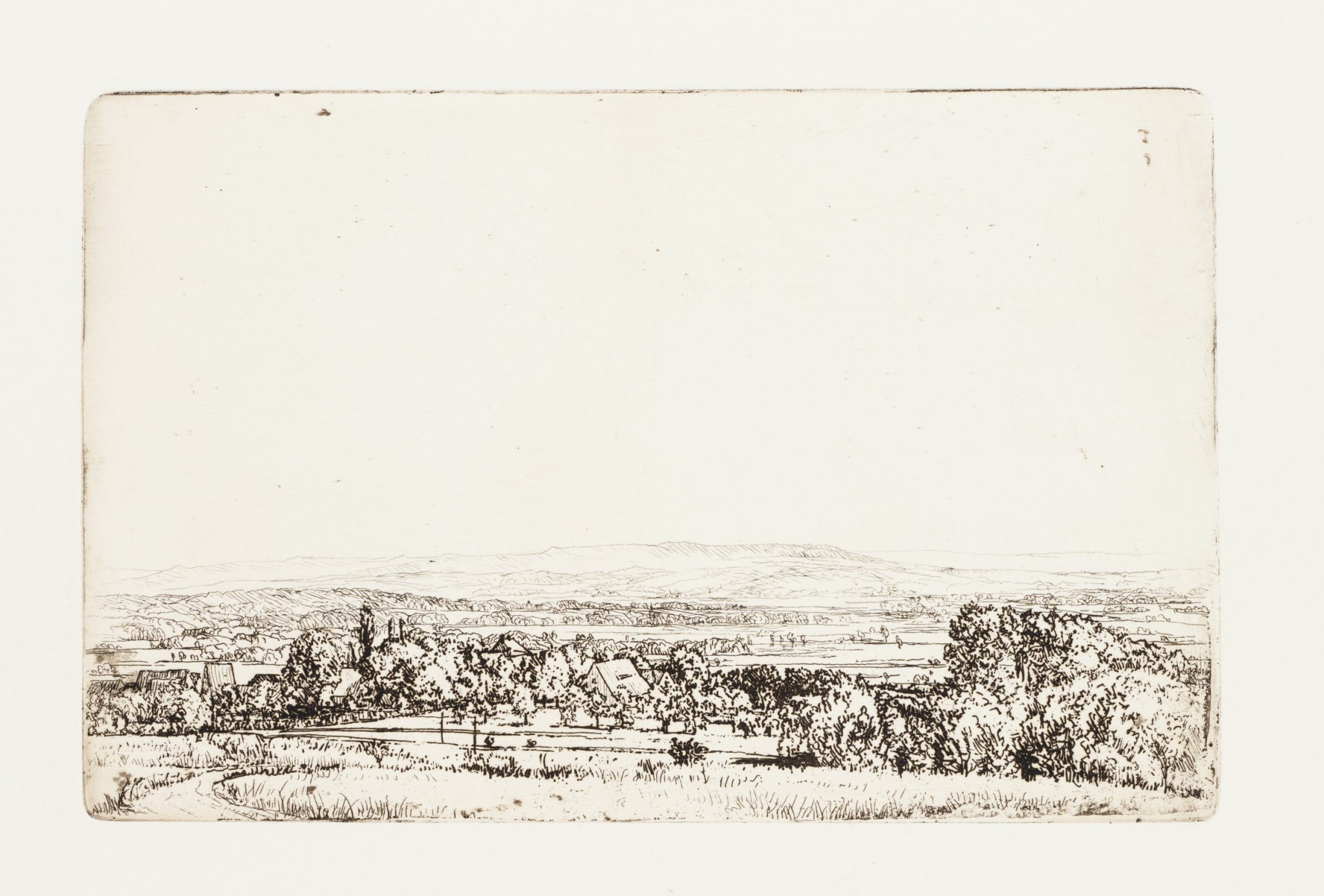 Panorama einer weiten Wiesenlandschaft