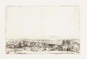 Panorama einer weiten Wiesenlandschaft