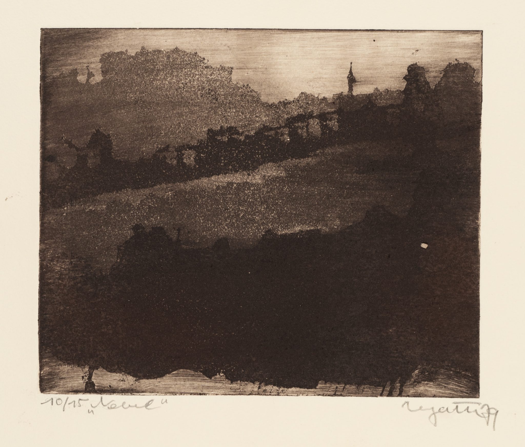 Nebel. Landschaft im Dunkeln. Unschärfe