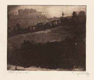 Nebel. Landschaft im Dunkeln. Unschärfe