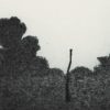 Ansicht 4