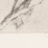 Ansicht 5