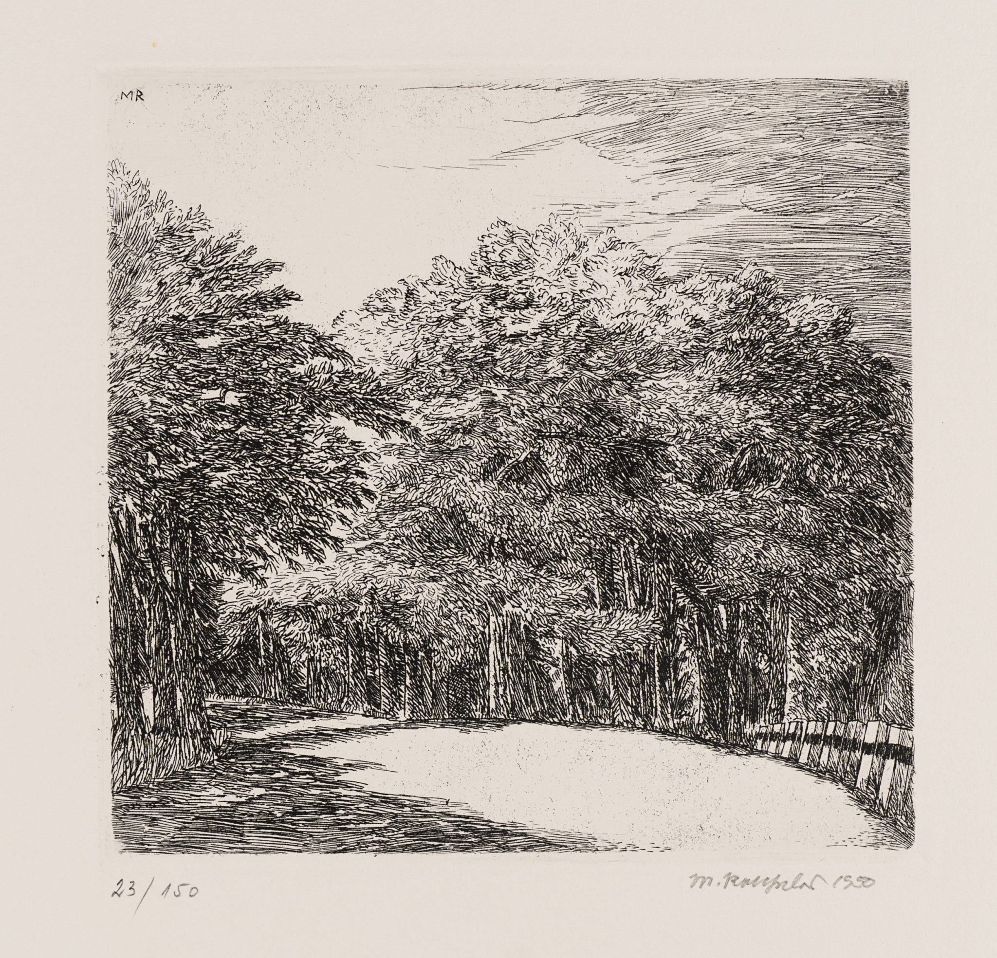 Waldstück mit Straße
