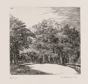 Waldstück mit Straße