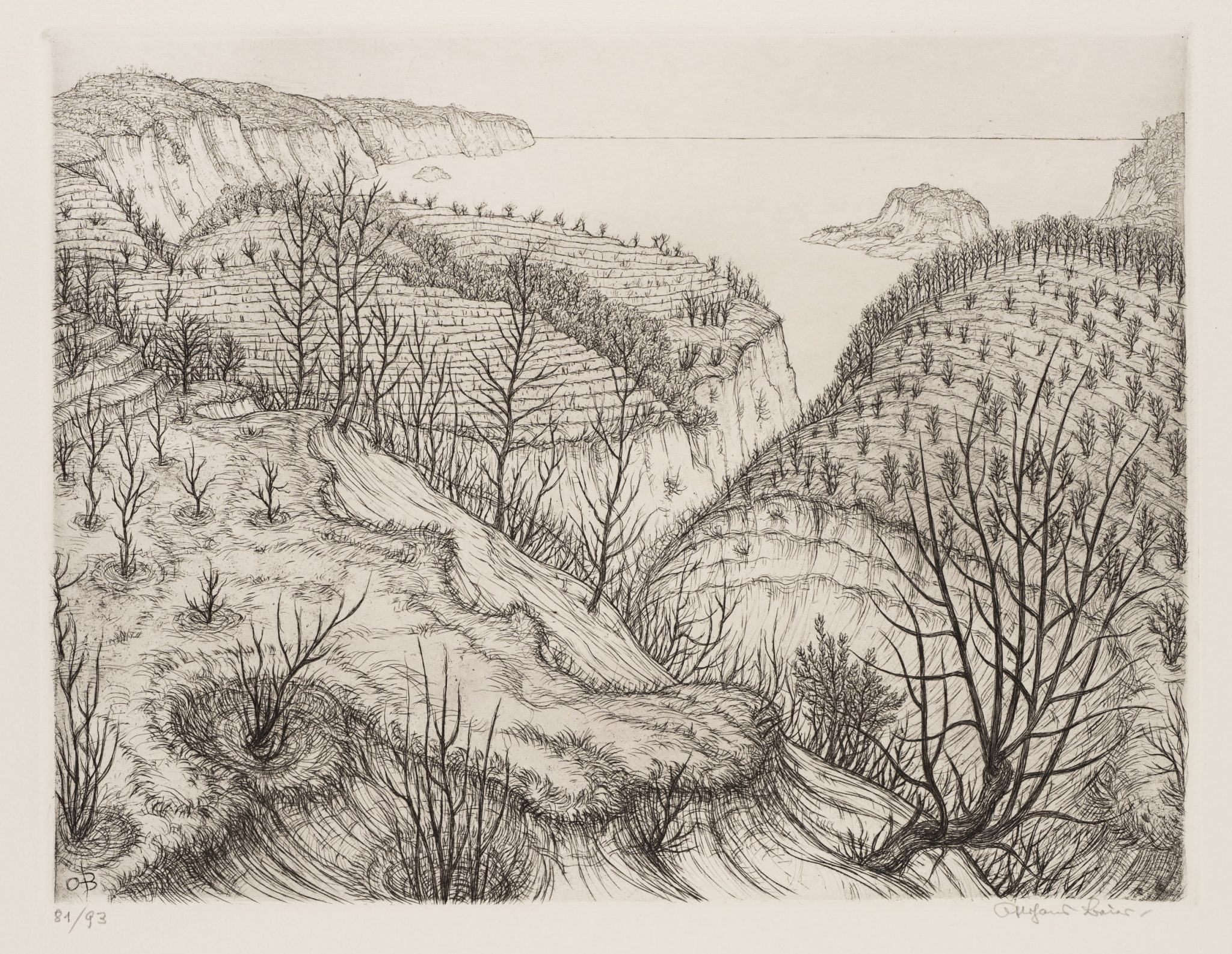 Landschaftsausblick mit terrassierten Hängen
