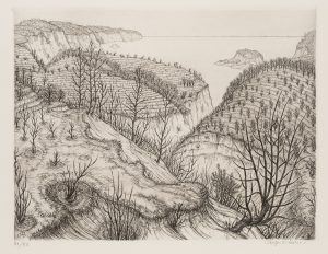Landschaftsausblick mit terrassierten Hängen