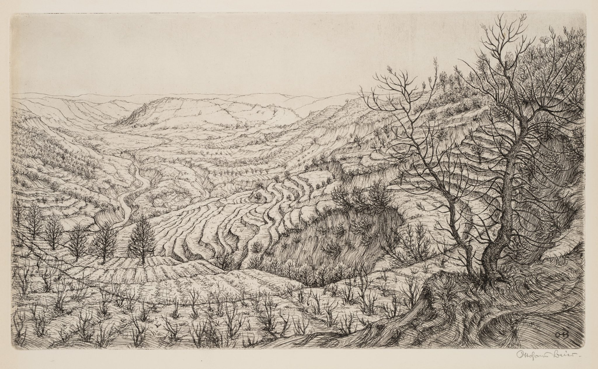Stufen. Landschaft mit terrassierten Feldern