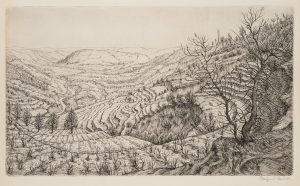 Stufen. Landschaft mit terrassierten Feldern