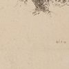 Ansicht 5