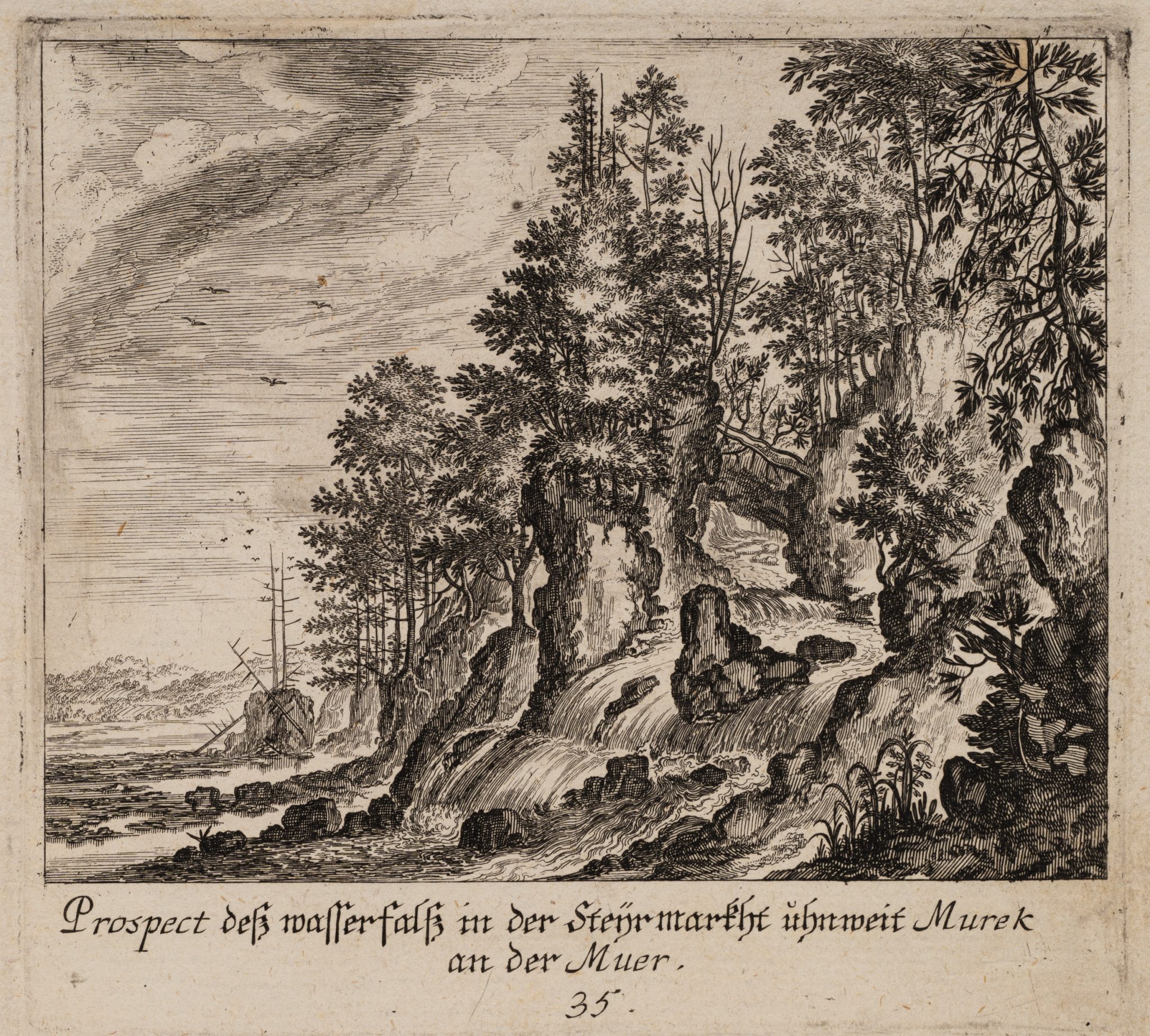 Felsiges Waldstück mit Wasserfall