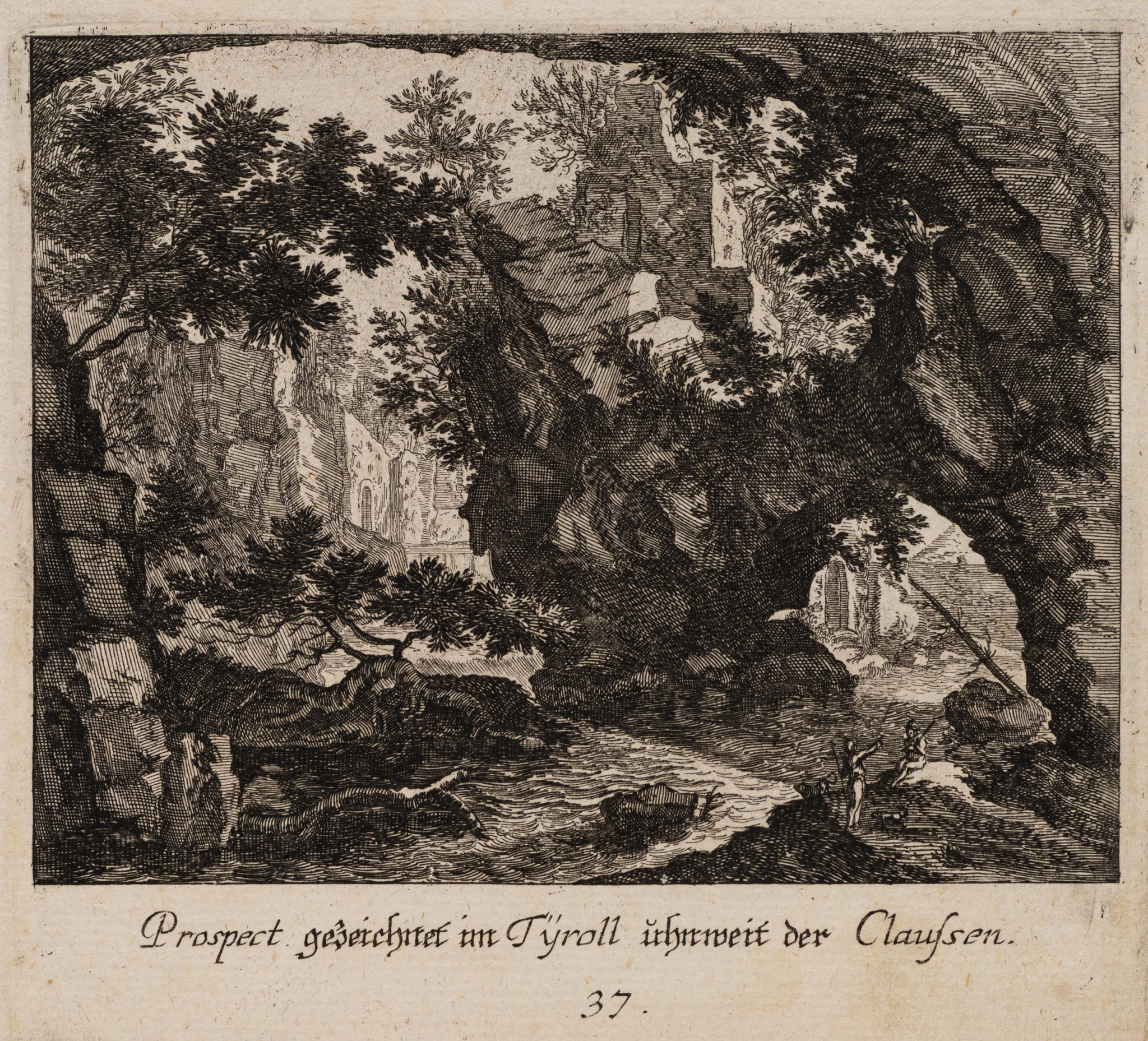 Tiroler Landschaft. Waldstück.