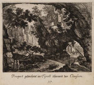 Tiroler Landschaft. Waldstück.