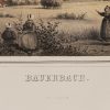 Ansicht 5