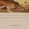 Ansicht 5