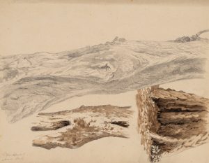 Baumstudie am Stamm