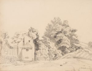 Haus und Bäume