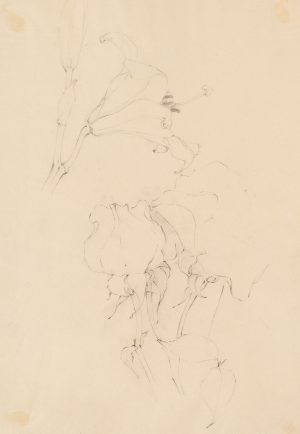 Rosen und Lilie