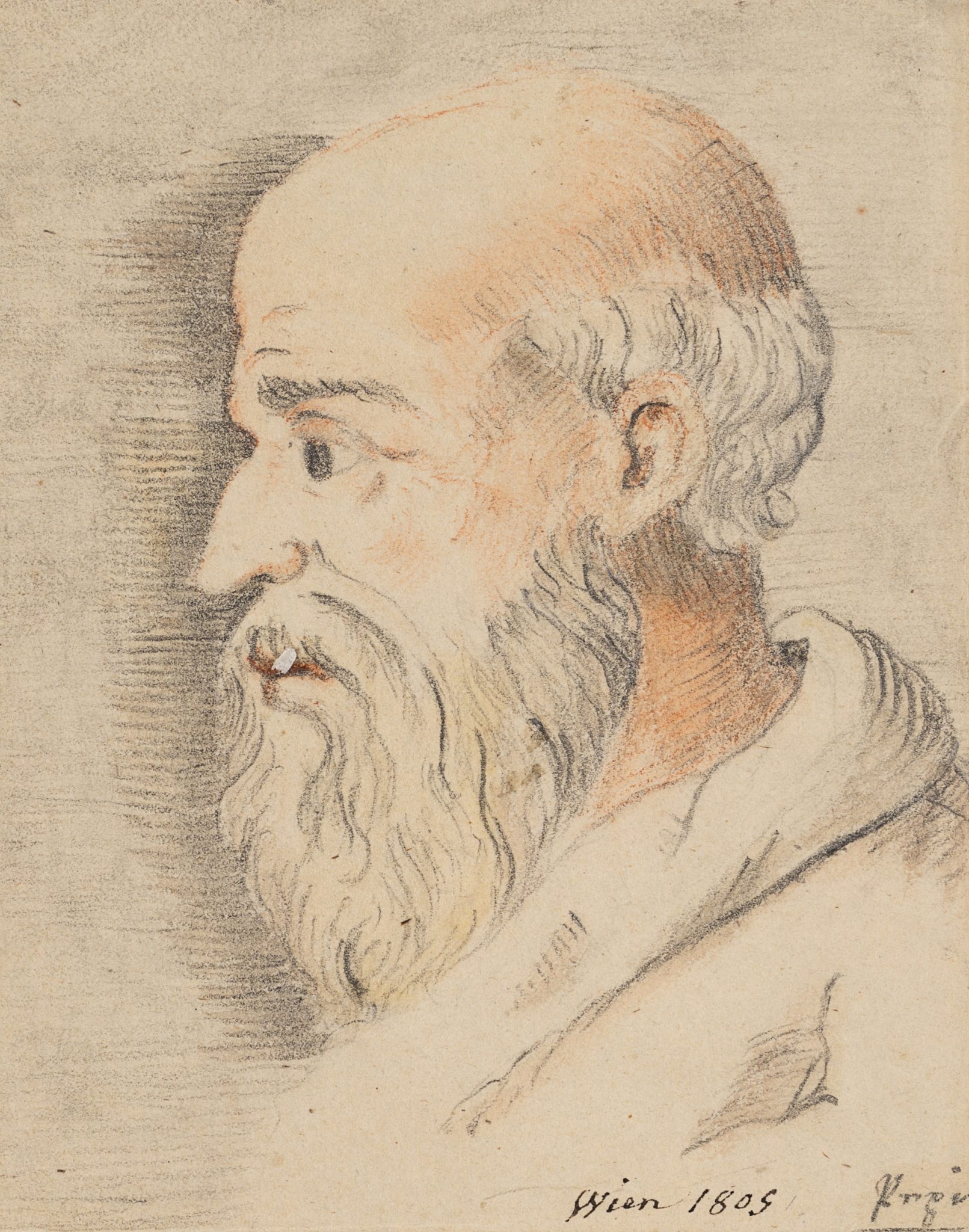 Profil eines bärtigen Mannes