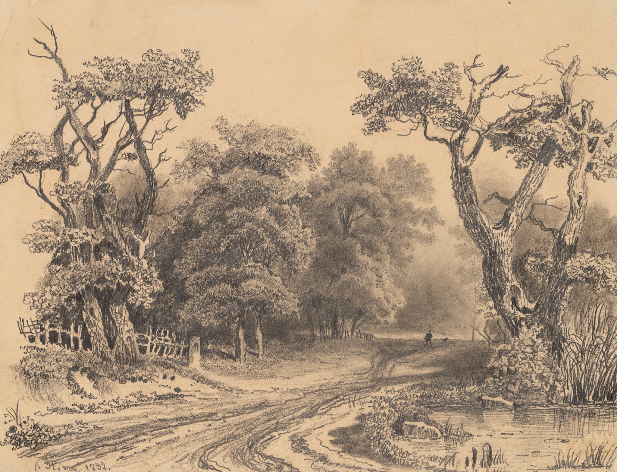Fahrweg mit Bäumen bei Saint-Omer
