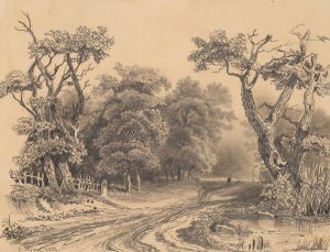 Fahrweg mit Bäumen bei Saint-Omer
