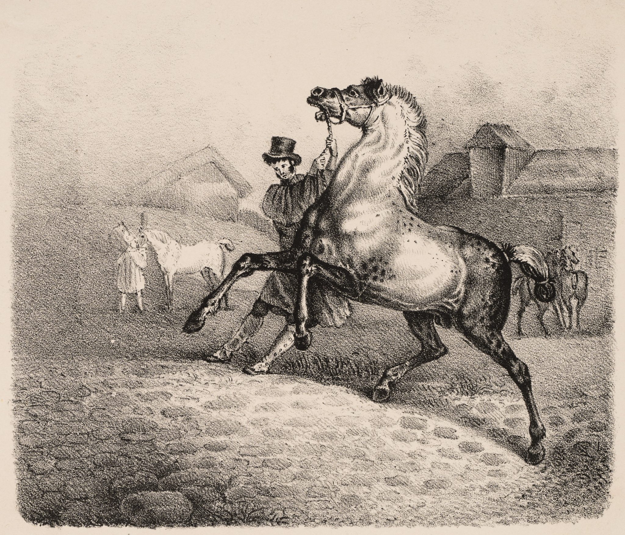 Pferd mit Führer