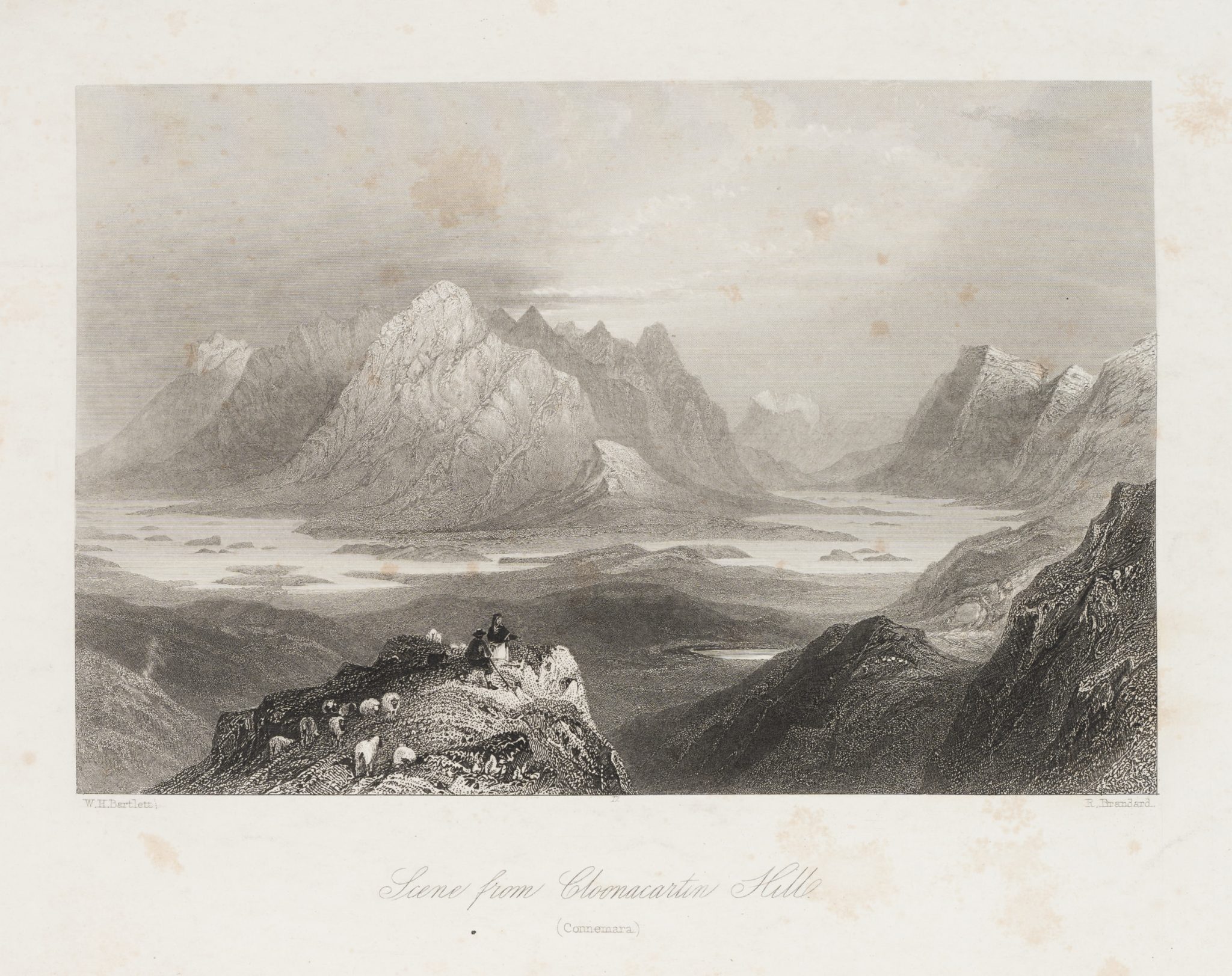 Berglandschaft mit Schafen