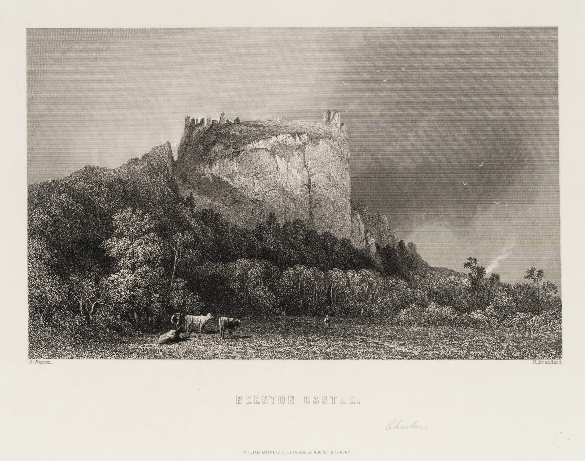 Beeston Castle in der Natur