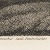 Ansicht 5