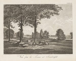 Terrassenblick auf Strawberry Hill