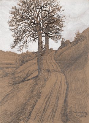 Fahrweg bei Wasserburg