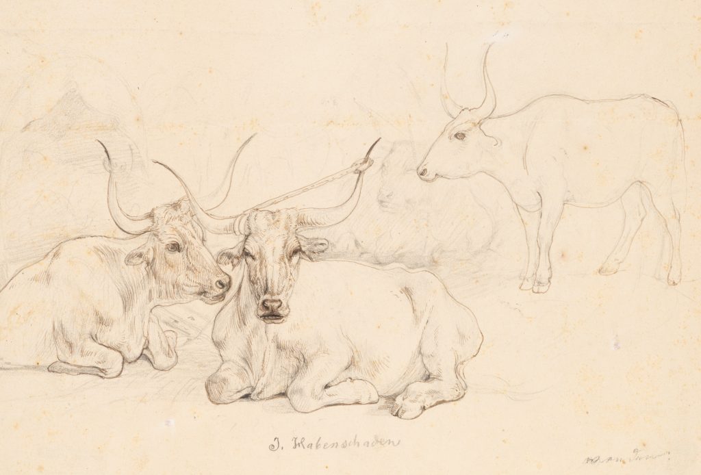 Werk von Sebastian Habenschaden