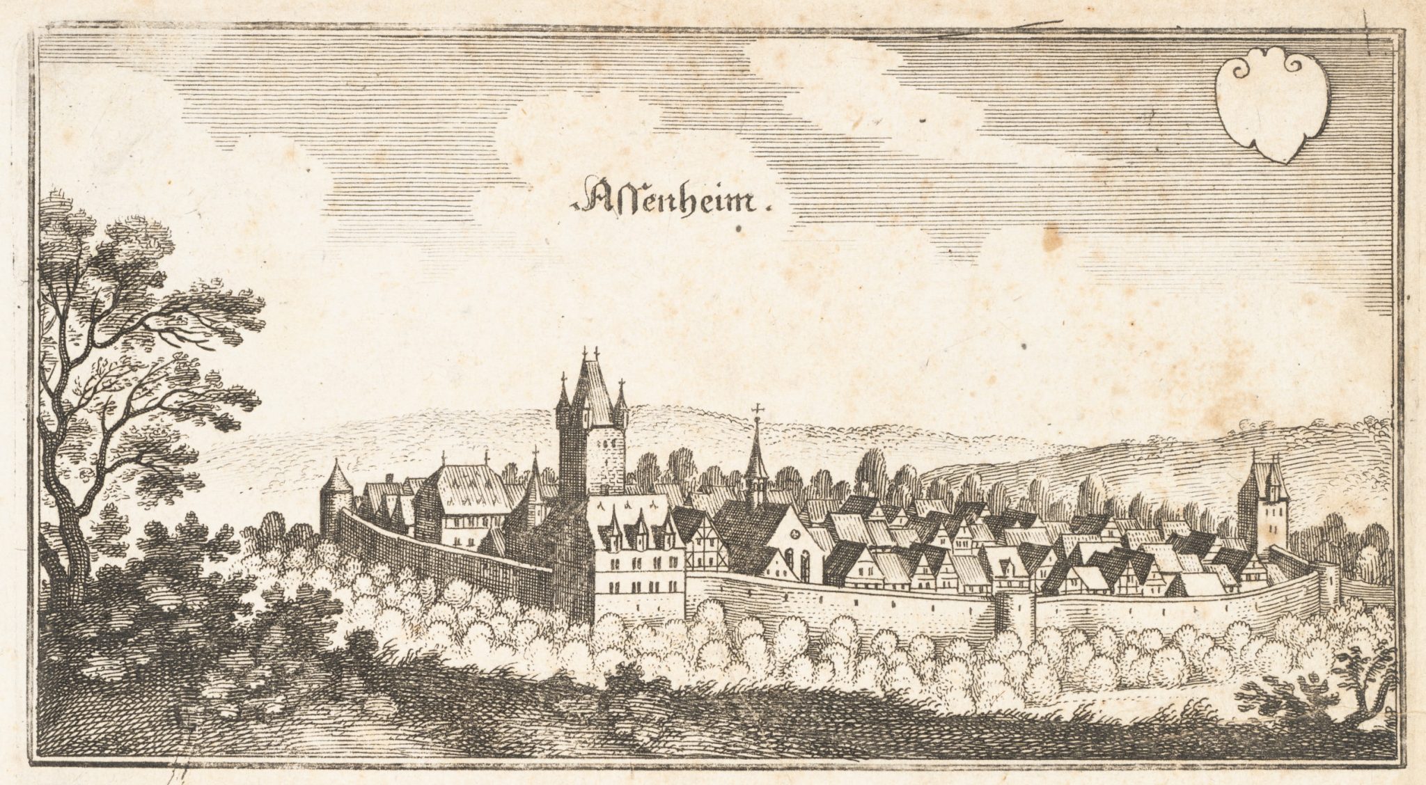Ansicht von Assenheim